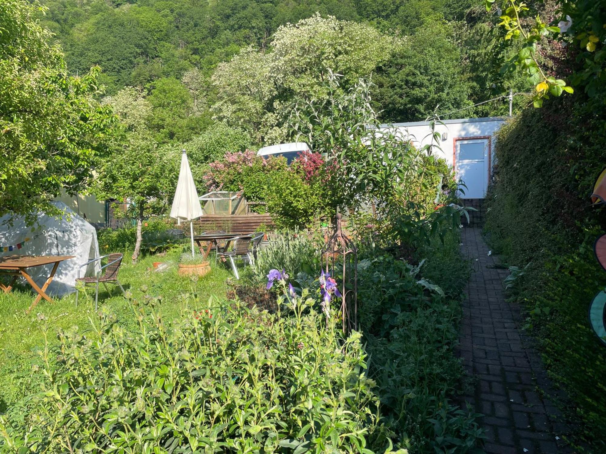 Blick Ins Gruene, Nah Am Zentrum Trier Exterior foto